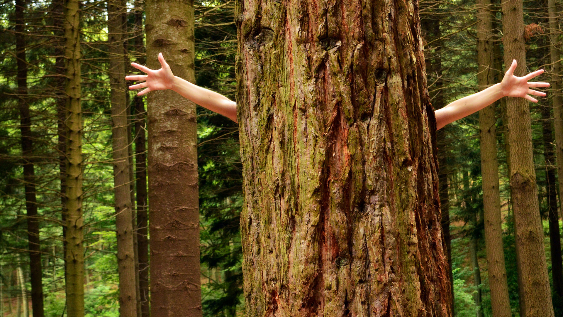 Le professeur François-Xavier Amherdt relèves les perspectives pastorales de l'encyclique Laudato Si (Photo: flickr/marinadelcastell/CC BY 2.0)