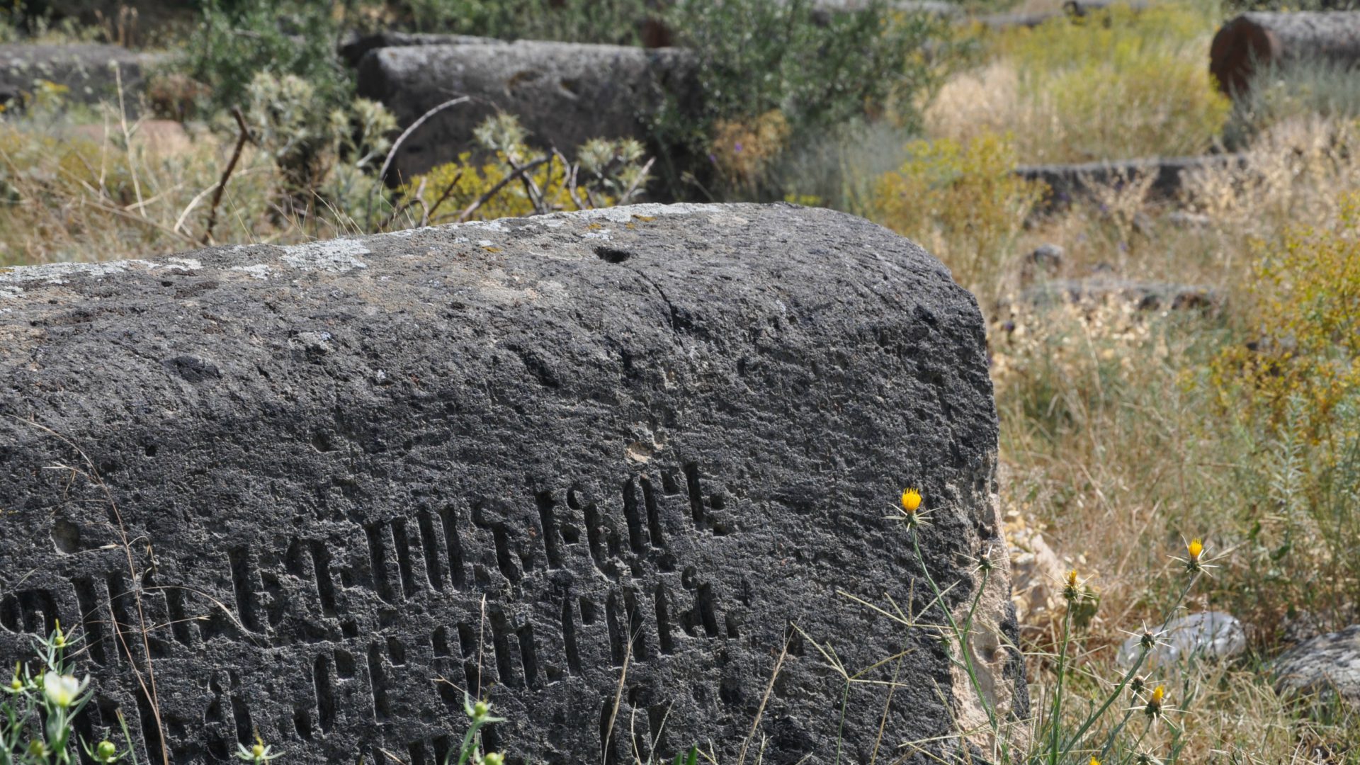 Un cimetière arménien a été profané à Mus, en Turquie (Photo d'illustration:Nina Stössinger/Flickr/CC BY-SA 2.0)