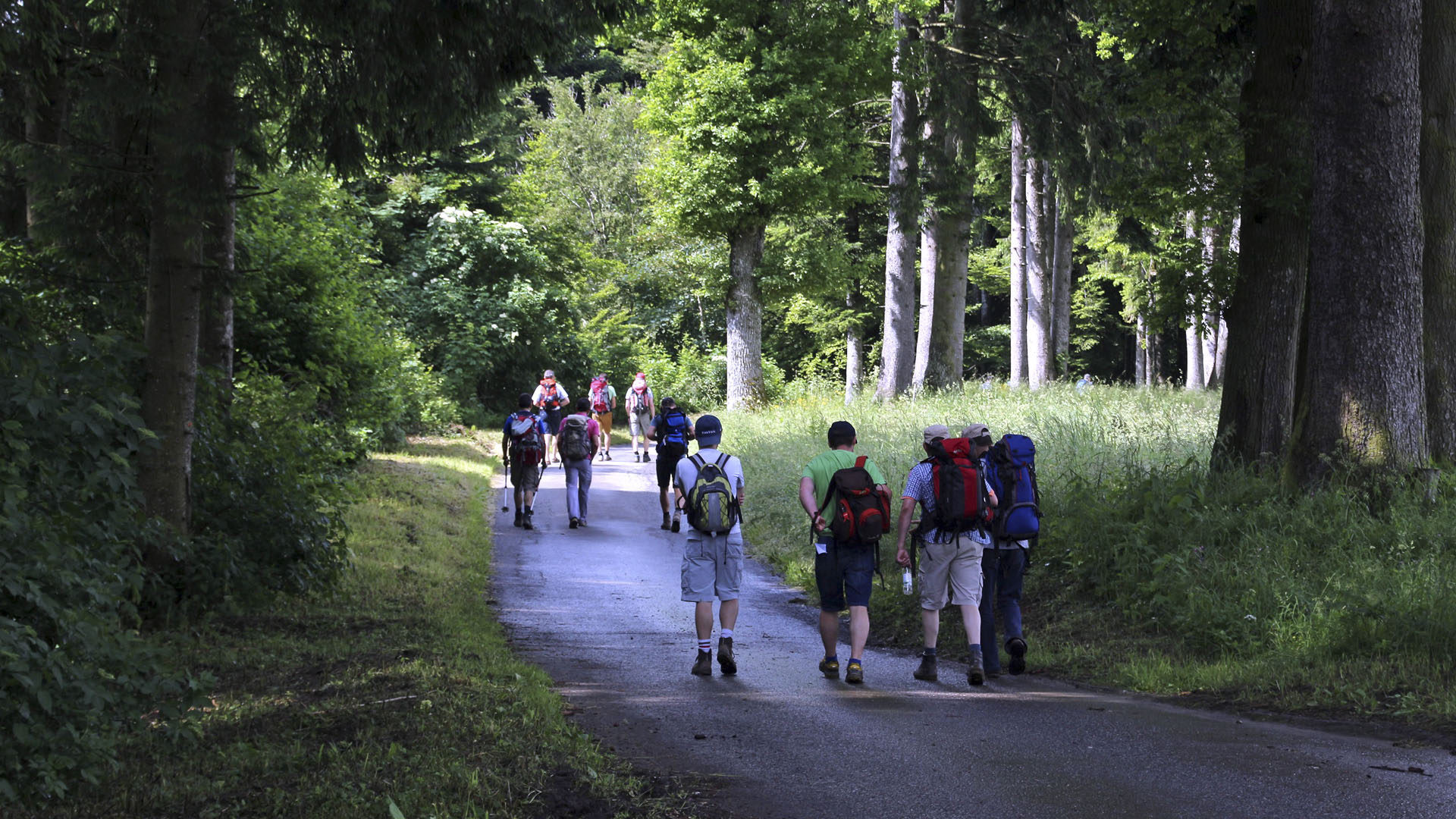 Les pèlerins en route vers le mont Gibloux. (Photo: P. Dorsaz - Eglise catholique -Vaud)