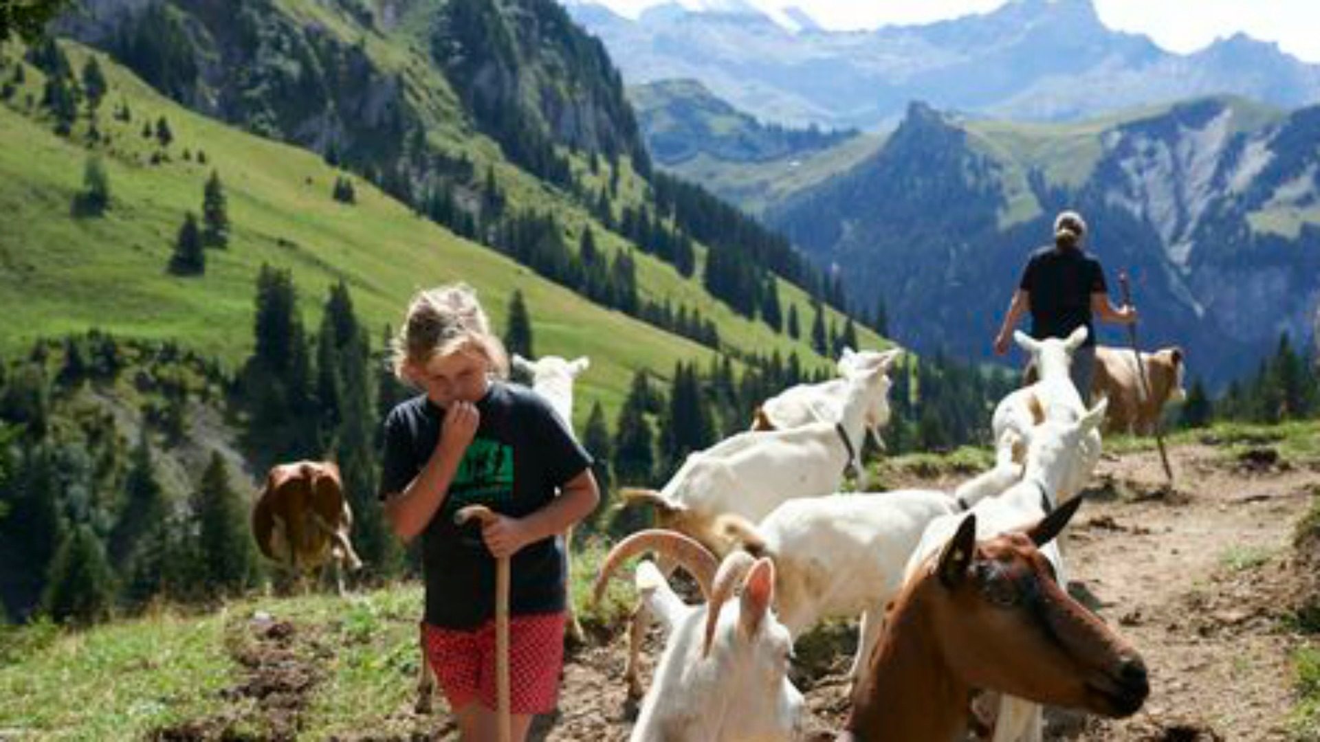 Aide aux familles paysannes de montagne (Photo:  www.montagnards.ch)