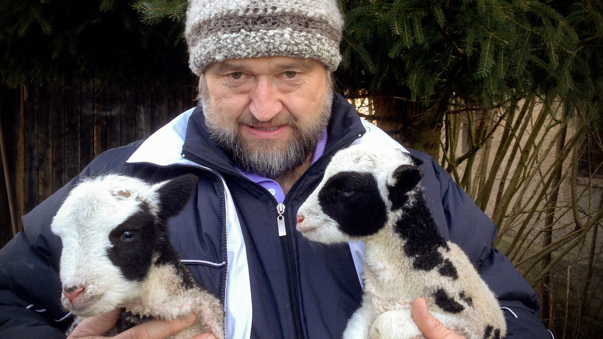 Le diacre Sepp Hollinger avec ses moutons (Photo:Georges Scherrer)