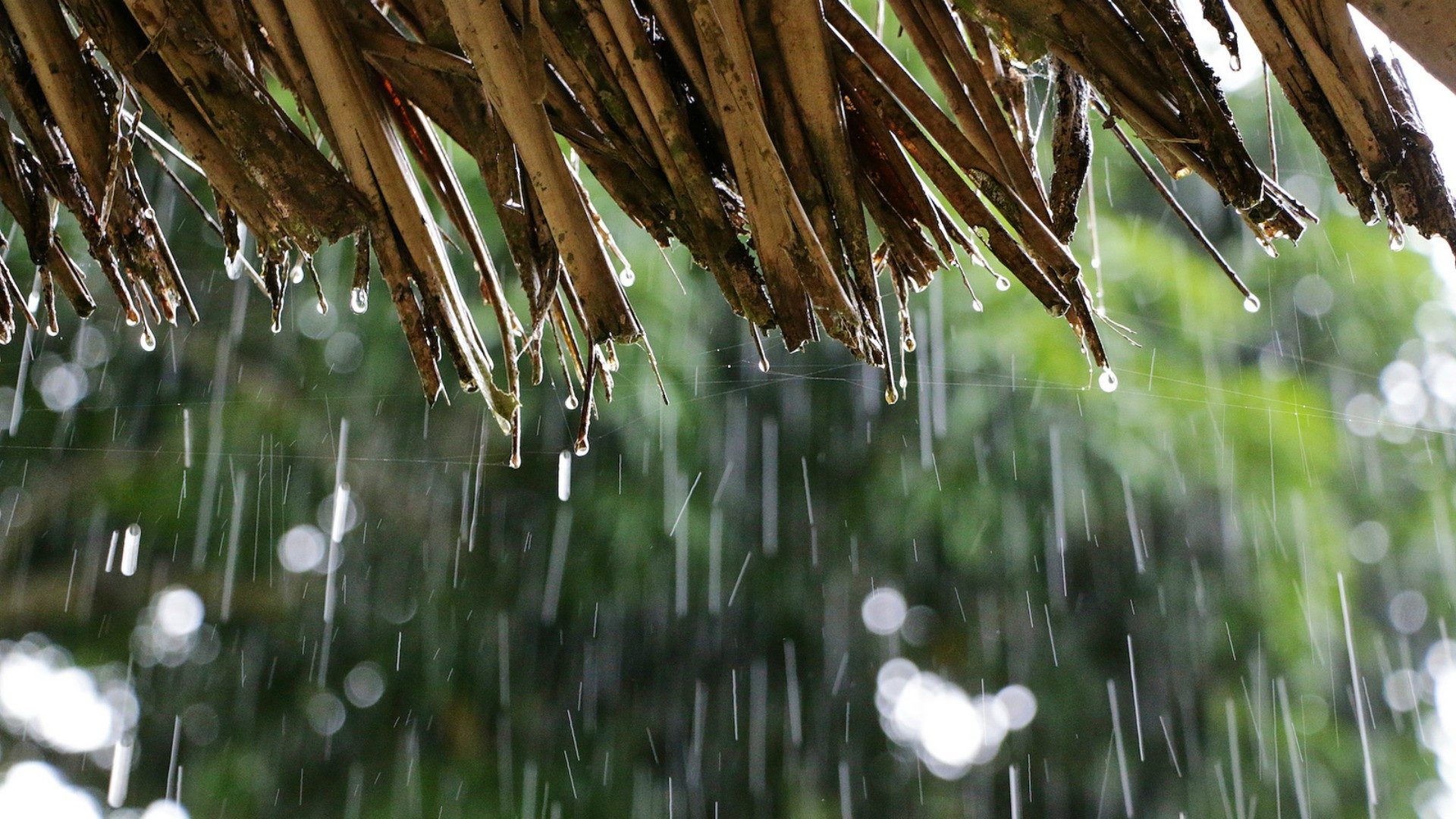 Les risques de pluies diluviennes sur Puerto Maldonado ont perturbé le programme du pape (Photo: Paul Alexander/Flickr/CC BY-ND 2.0)