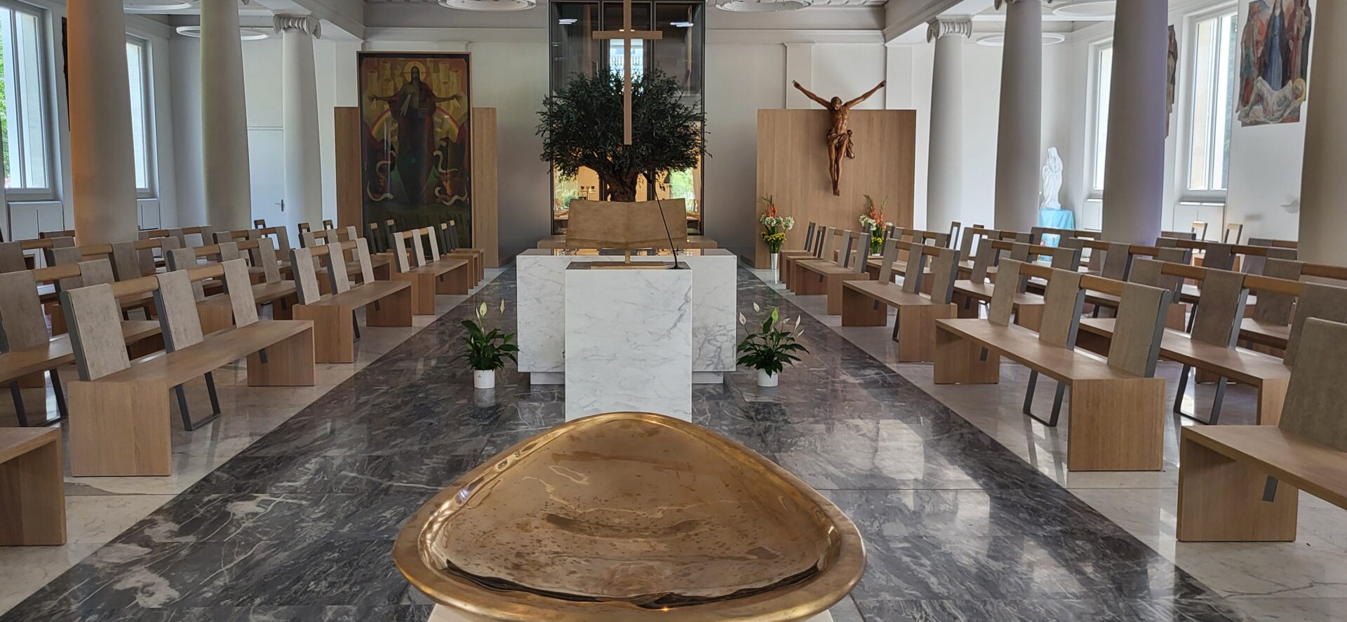 Dans l'espace central de l'église du Sacré-Coeur, à Genève, trône un olivier | © Lucienne Bittar