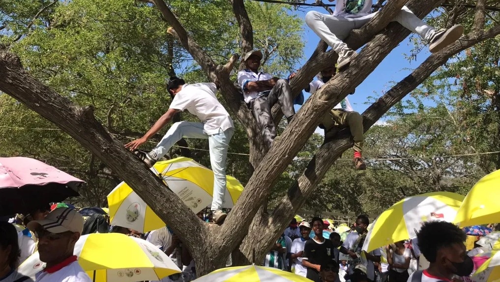 A Dili, les gens grimpent dans les arbres pour apercevoir le pape | Camille Dalmas