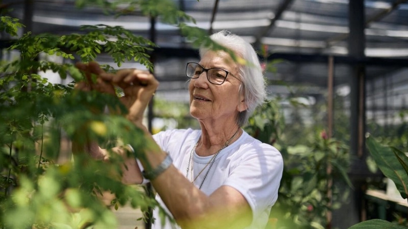 Soeur Rosita Milesi est la lauréate du Pirx Nansen pour les réfugiés 2024 | HCR 