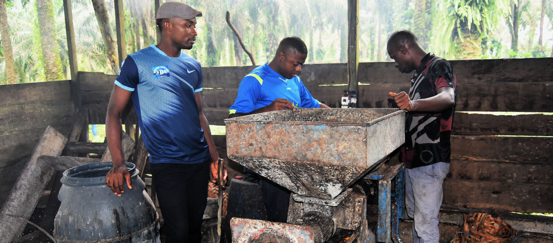 Au Grand séminaire provincial Saint Paul VI de Douala Nkong-Bodol, les séminaristes concassent des noix de palme pour produire leur huile | © Jacques Berset