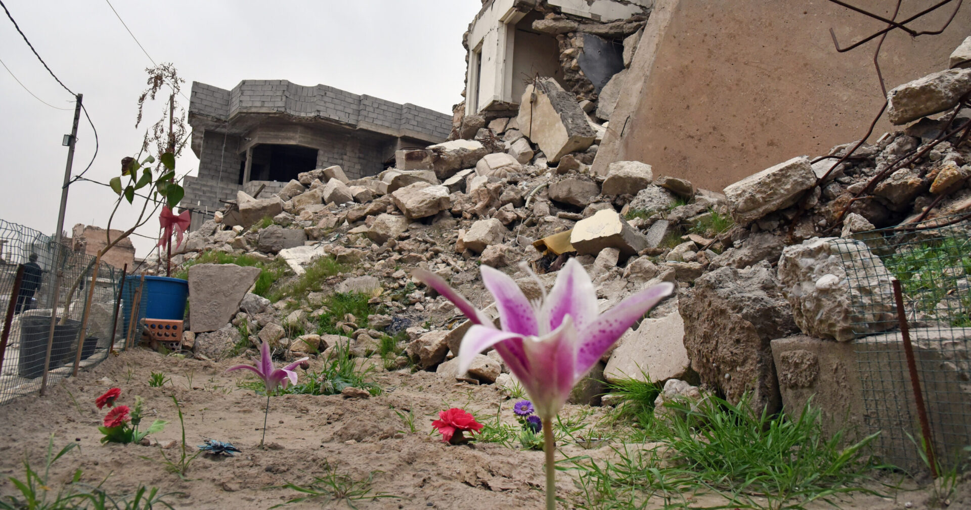 Un jardin de fleurs artificielles dans les ruines du "Vatican de Mossoul", un complexe abritant la cathédrale, 2022 | © Raphaël Zbinden